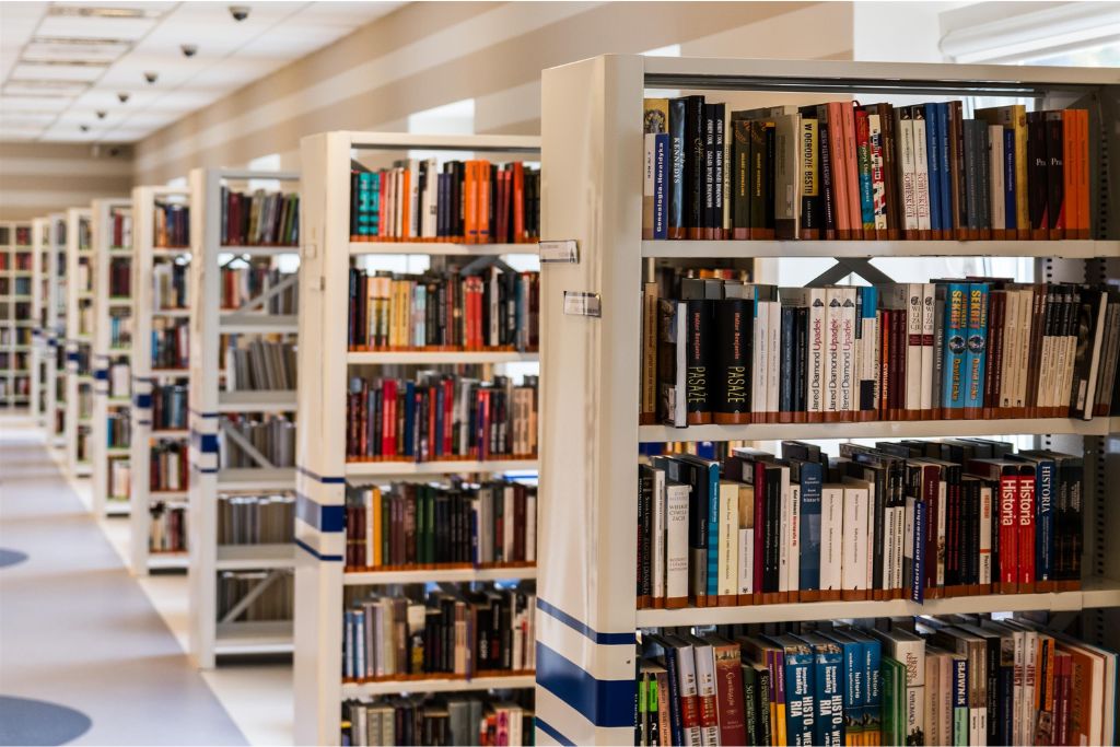 library in ballabhgarh