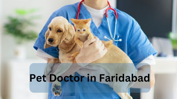 Pet Hospital in Faridabad